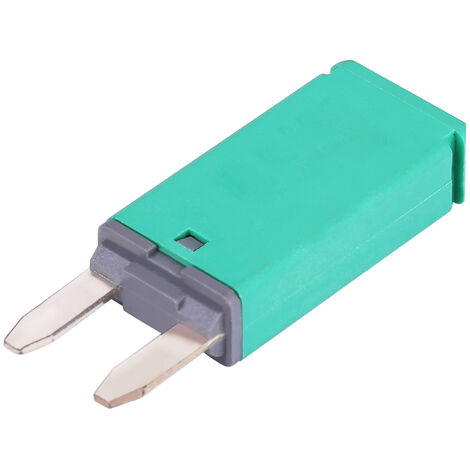 Jeffergarden Fusibles à lame de disjoncteur à réinitialisation automatique 14V DC Mini pour voiture camion bateau RV 30A vert