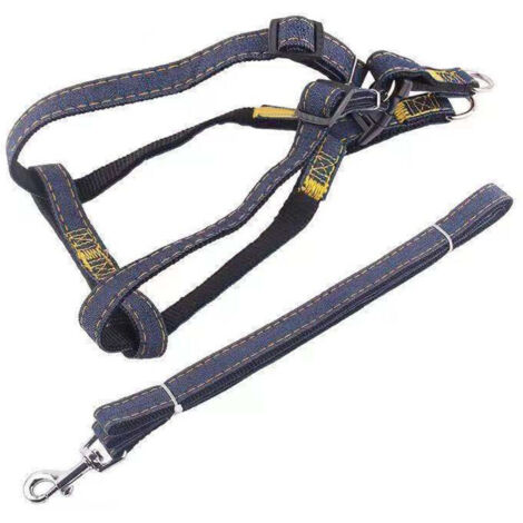 Jeffergarden Harnais laisse pour chien/chat - Noir taille S, peau douce, ensemble complet - Dressage extérieur
