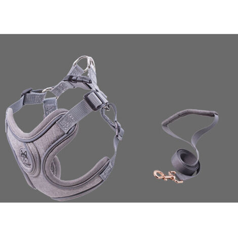Jeffergarden Harnais Réfléchissant pour Petit Chien – Avec Laisse de 1.5m, Respirant et Confortable pour Promenade Quotidienne (Gris)