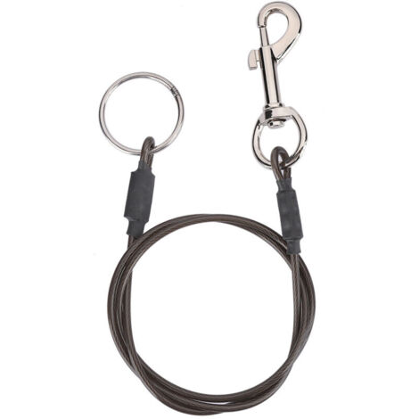 Jeffergarden Laisse en câble d'acier gainé pour chien - Boucle unique pour bain, toilettage ou fixation - Robuste