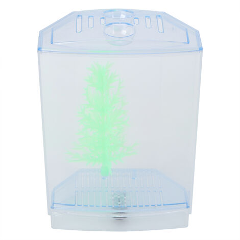 Jeffergarden Mini Aquarium Transparent pour plantes aquatiques, bote d'élevage, incubateur d'éclosion (simple)