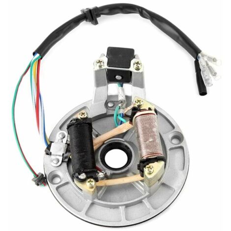 Jeffergarden pour Bobine allumage Dirt pour allumage Rotor Interne pour Dirt CCR Bobine de stator en Alliage d'aluminium, Rotor de Bobine d'allumage de magnéto de ramassage de Plaque de stator JH70 po