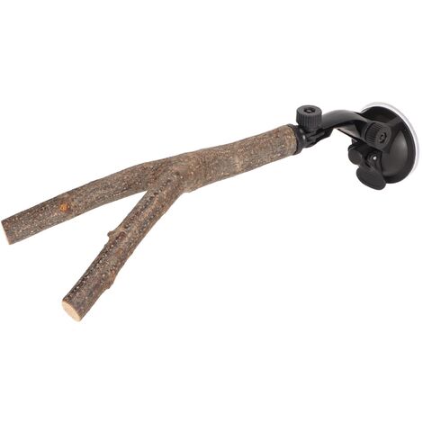Jeffergarden Support de perchoir pour branches d'oiseaux, entranement interactif, anti-glissement, perchoir en bois avec ventouses pour oiseaux de petite et moyenne taille, 20 cm