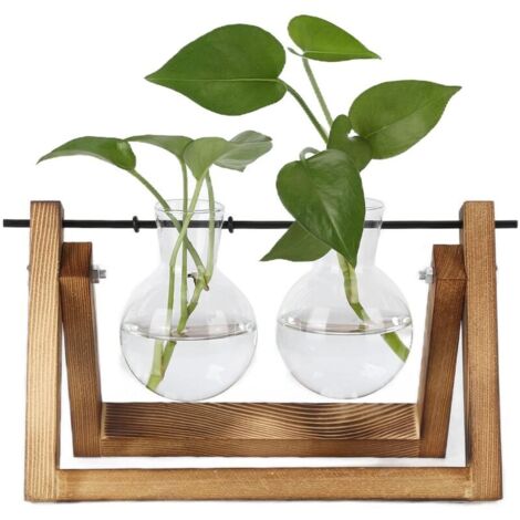 Jeffergarden Terrarium de plantes avec support en bois, Vase en verre, jardinière de bureau pour la décoration de la maison et du bureau (cadre en bois, 2 bouteilles)