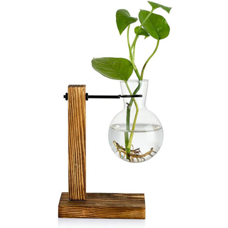 Jeffergarden Vase Transparent de bureau, support en bois, verre Transparent, plante pour la maison, Table, bureau, décoration intérieure