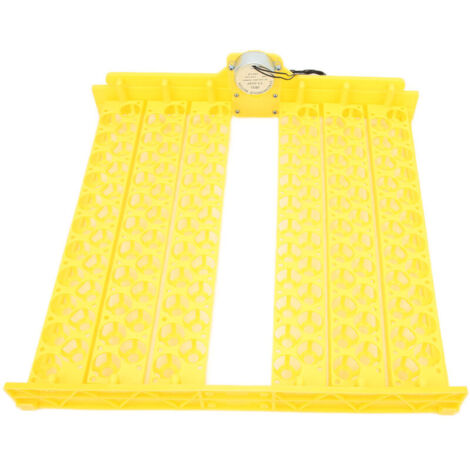 Jeffergarden Vollautomatischer Eierbrutkasten Hohlform Eierbrutkasten für Huhn, Ente, Wachtel (220V)