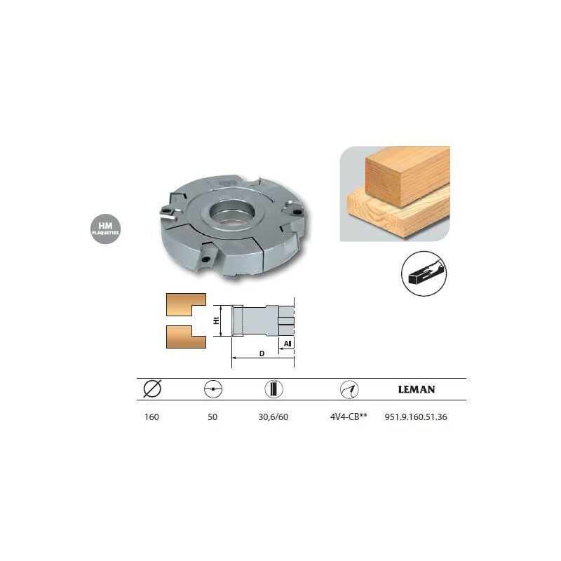 Leman - Porte-outils feuillure extensible diam. 160 Al.50 Ht. 30,6/60 z4+V4 coupe biaise - 951.9.160.51.36