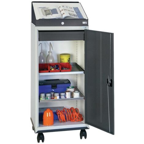 Jeu d'armoire à outils avec pupitre rapporté H1310xl500xP500 mm gris clair/gris anthracite STUMPF