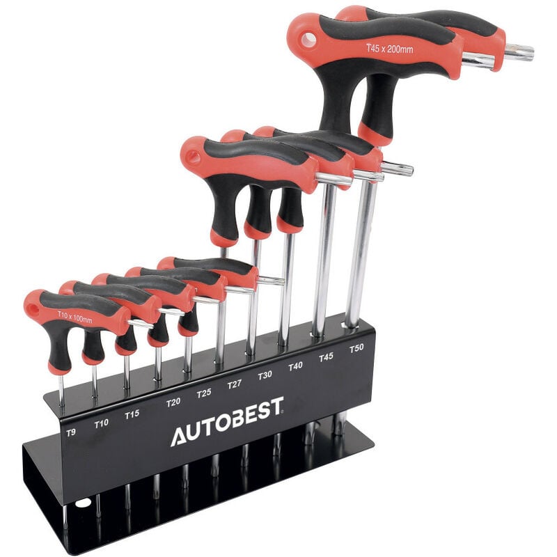 Jeu de 10 Clés en  Torx sur ratelier T9 à T50