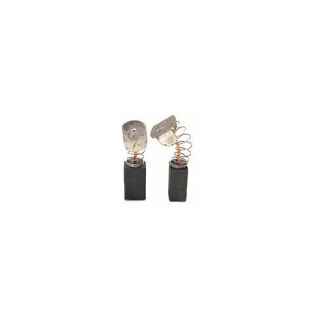 Jeu De 2 Charbons Adaptable Pour Flex. Dimensions: 10 X 12.5 X 20mm.
