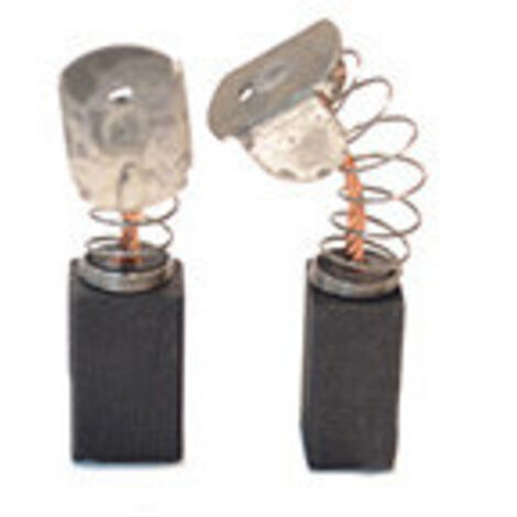 Jeu de 2 charbons adaptable pour FLEX. Dimensions: 10 x 12.5 x 20mm.