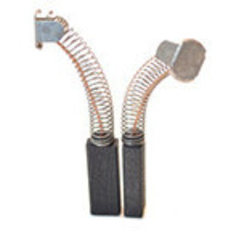 Jeu de 2 charbons adaptable pour FLEX. Dimensions: 5 x 8 x 20mm.