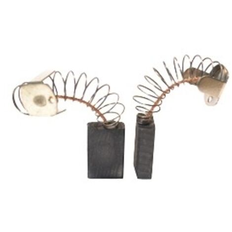 Jeu De 2 Charbons Adaptable Pour Flex. Dimensions: 6 X 13 X 19mm.