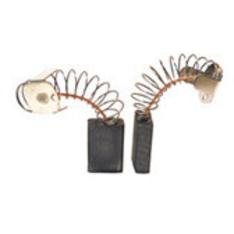 Jeu de 2 charbons adaptable pour FLEX. Dimensions: 6 x 13 x 19mm.