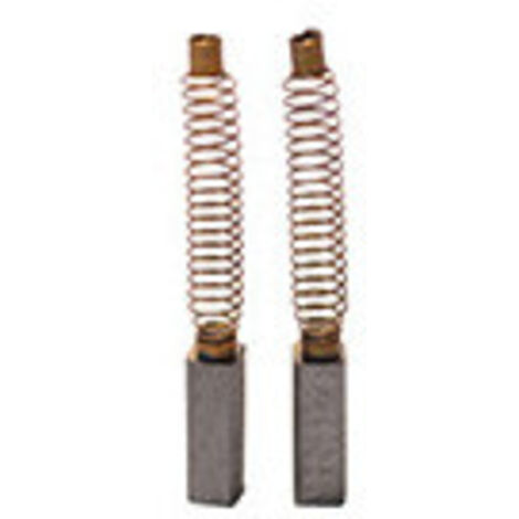 Jeu de 2 charbons adaptable pour ION. Dimensions: 4.8 x 4.8 x 14mm.