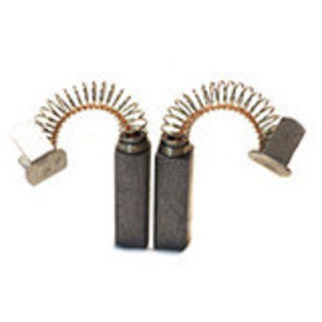 Jeu de 2 charbons adaptable pour LEGNA. Dimensions: 5 x 5 x 15mm.