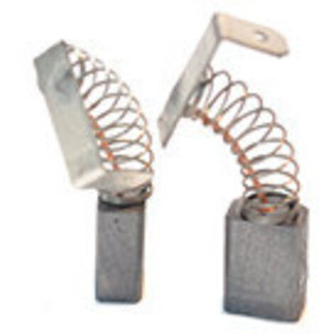 Jeu de 2 charbons adaptable pour RYOBI. Dimensions:5 x 8 x 11mm.