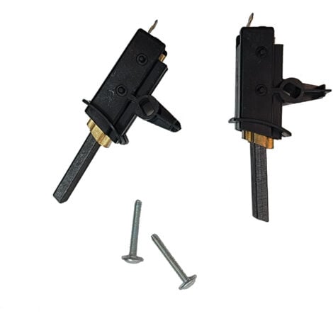 Jeu de 2 charbons moteur d'origine