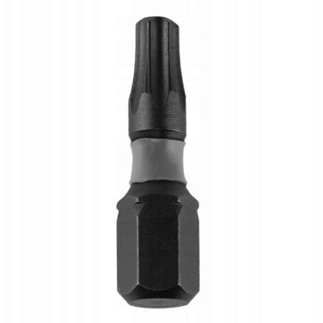 Jeu de 2 embouts à chocs Torx 40x25 mm