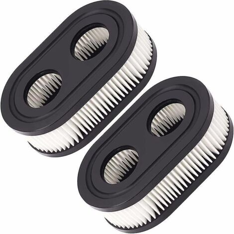 jeu De 2 Filtres  Air Briggs Et Stratton 798452 593260 Cartouche De Filtre Paragon Pour Tondeuses  Gazon 5432 Cartouche De Filtre Garden Pour Tond