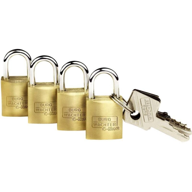 Cadenas avec serrure à clé Burg Wächter 4er Set Quadro 222 15 sb laiton 4 pc(s)