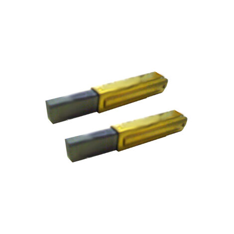 Jeu de charbons pour moteur Vacuflo MAXAIR