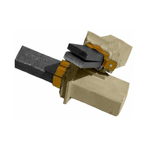 Jeu de Charbons pour moteurs Trema TF550