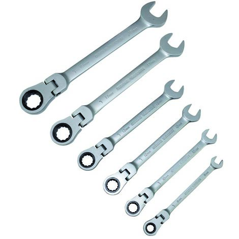 CES Malette Jeu Combiné Clé Mixtes A Cliquet - Molette Réversible Mixtes - 8-19mm 12 PCS -PT25