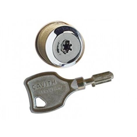 JEU DE CYLINDRE ISEO ORIGINAL SERRURE CAVITH par ISEO CAVERS - plusieurs modèles disponibles