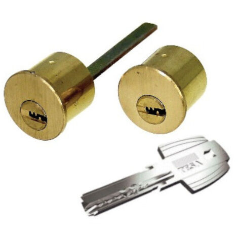 Jeu de cylindres T60 pour serrures TS3 et TS5 - TESA - T6TSRFLC