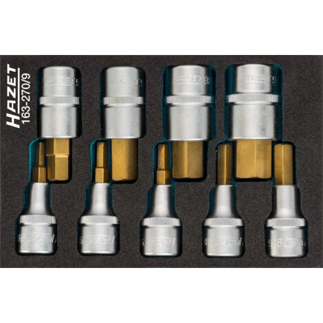 Jeu de douilles mâles 163-270/9 ∙ Carré creux 1/2 pouce (12,5 mm) ∙ Profil à 6 pans intérieurs ∙ 9 pièces ∙ 5 – 19
