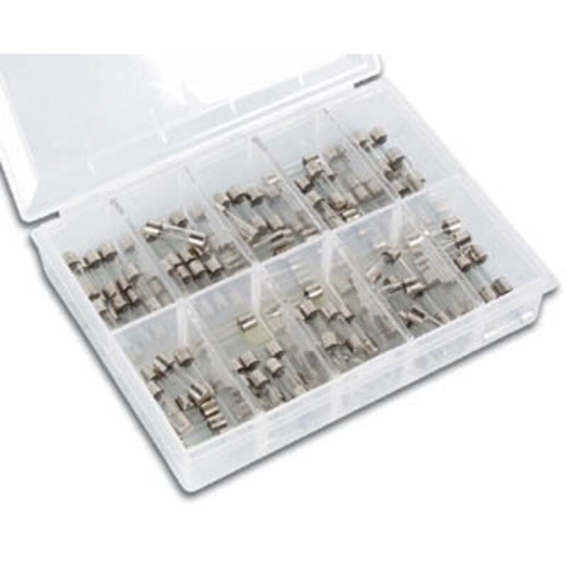 Jeu de fusibles - lents - 100 pcs - 5 x 20 mm velleman k/fu