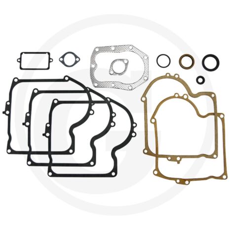 Jeu de joints pour moteur de tondeuse à gazon BRIGGS&STRATTON 220700 251700 252700