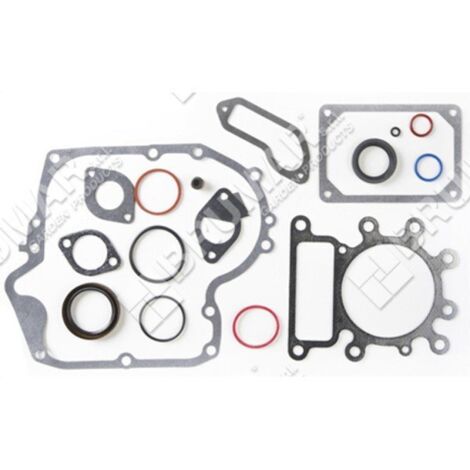 Jeu de joints pour moteurs BRIGGS & STRATTON 796181 (ex 697151) - 020499