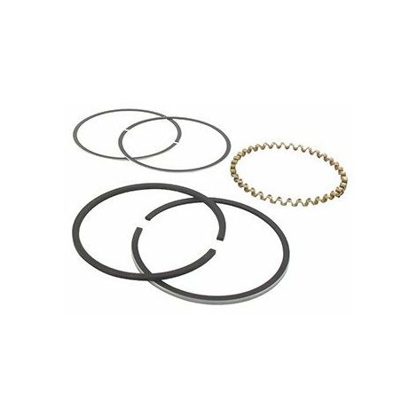 Jeu De Segments Adaptable Pour Kohler Modèle K-241, 10 Ch.. Remplace Origine: 235288