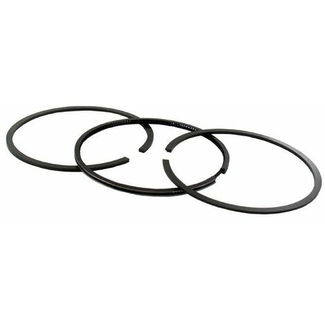 Jeu de segments BRIGGS ET STRATTON 499425