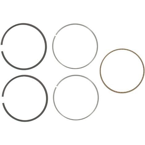 Jeu de segments BRIGGS ET STRATTON 795690