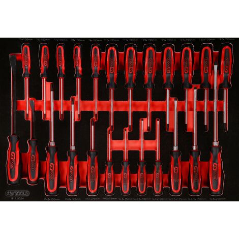 KSTOOLS Jeu de tournevis dans insert en mousse, 24 pcs