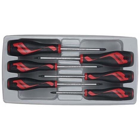 Jeu de tournevis, MD906N2, 6 pièces TENGTOOLS 185890100