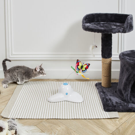 Jeu Papillon Interactif Pour Chat