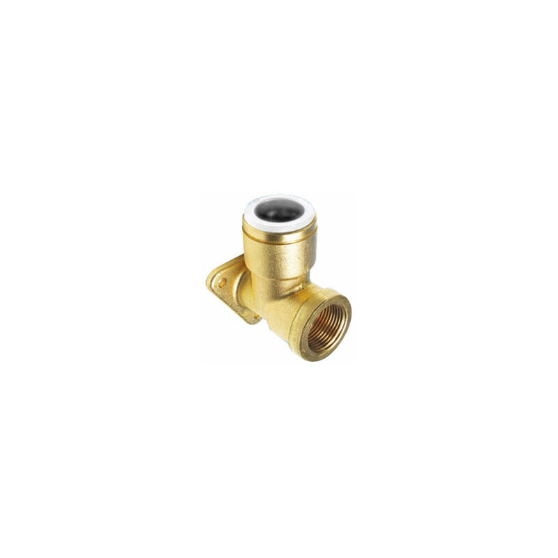 Image of John Guest Speedfit - Brass Backplate&hellip;