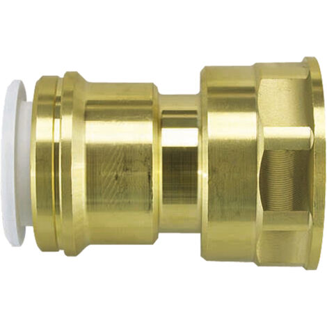 John Guest Speedfit Brass Cylinder Adaptor 22 x 1" Female