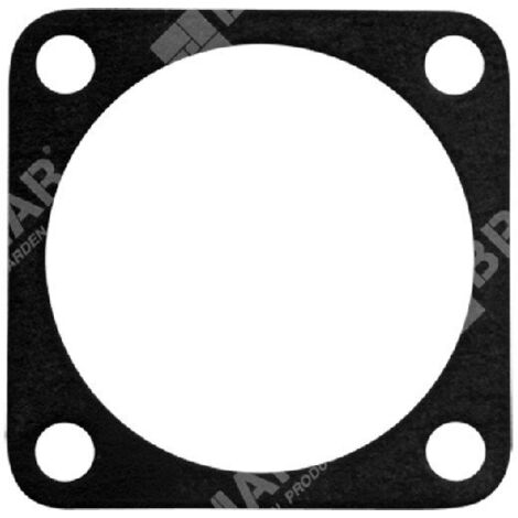 Joint à membrane pour carburateurs TILLOTSON - 003038