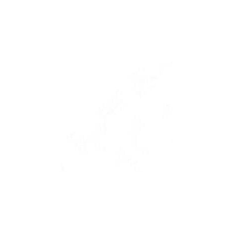 Joint Aspirateur RS-RT3646 ROWENTA Aspirateur RS-RT3646 ROWENTA
