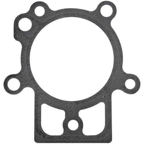 Joint BRIGGS ET STRATTON 694872