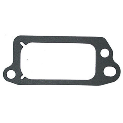 Joint cache soupapes BRIGGS et STRATTON 272481