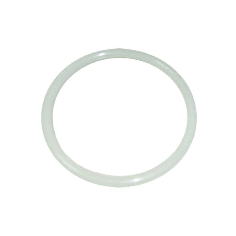 Junta tapa Filtro Aster Astralpool