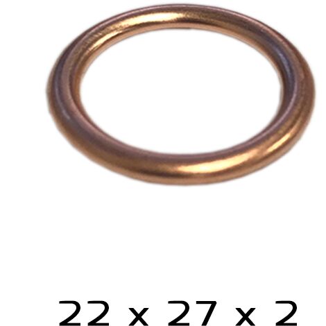 Joint de bouchon de vidange - 22 x 27 x 2 mm - RKG