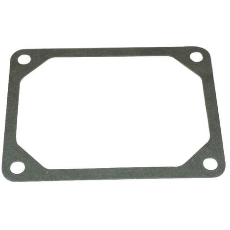 Joint de cache-soupape BRIGGS ET STRATTON 690971