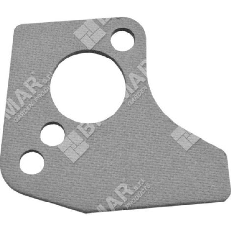 Joint de carburateur pour moteurs BRIGGS & STRATTON 273113S (ex 272585) - 030030